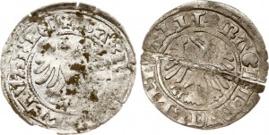 Litauen Polgrosz ND (1492-1506) Vilnius Lot von 2 Münzen