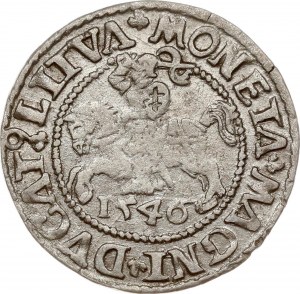 Lituania Polgrosz 1546 Vilnius
