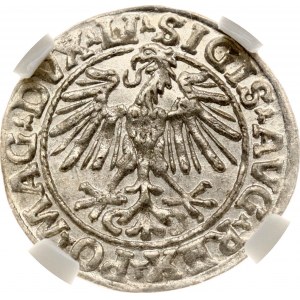 Lithuania Polgrosz 1548 Vilnius NGC MS 63