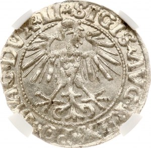 Lithuania Polgrosz 1550 Vilnius NGC MS 63