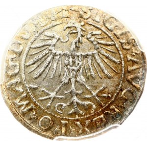 Lithuania Polgrosz 1551 Vilnius (R1) PCGS MS 63