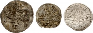 Litwa Denar i Dwudenar 1553-1570 Wilno Zestaw 3 monet