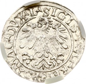 Lithuania Polgrosz 1559 Vilnius NGC MS 62