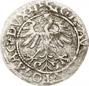 Lituania Polgrosz 1560 Vilnius