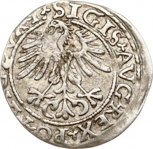 Lituania Polgrosz 1561 Vilnius