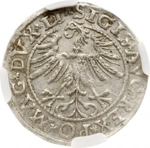 Lithuania Polgrosz 1563 Vilnius NGC MS 61