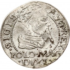 Lithuania Grosz 1566 Tykocin (R)
