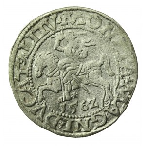 Sigismund II Augustus, Half-penny 1562 Vilnius, LI/LITV (712)
