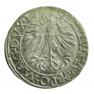 Sigismund II Augustus, Half-penny 1562 Vilnius, LI/LITV (712)