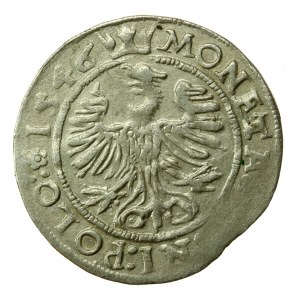 Sigismund I the Old, penny 1546 ST, Cracow (303)