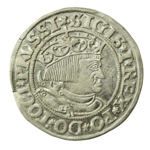 Sigismondo I il Vecchio, centesimo 1532, Toruń PRUSSI/PRUSS (761)