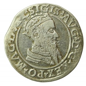 Sigismondo II Augusto, quadrangolo 1568, Vilnius, L/LITV (762)