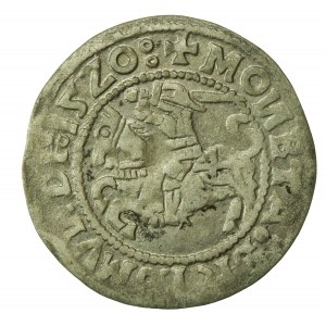 Zygmunt I Stary, półgrosz 1520, Wilno - odwrócone N (769)