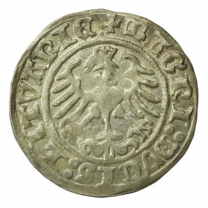 Sigismund I the Old, Half-penny 1512, Vilnius (771)