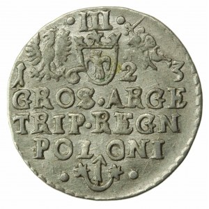 Sigismondo III Vasa, Trojak 1623, Cracovia (803)