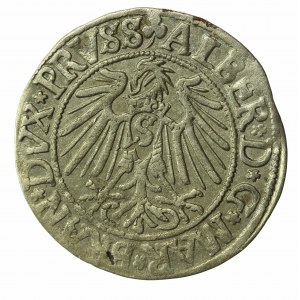 Prusy Książęce, Albrecht Hohenzollern, Grosz 1542, Królewiec (835)