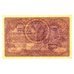 II RP, 1.000 mkp 1919 II Serja A (1527)