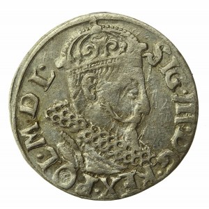 Sigismondo III Vasa, Trojak 1621, Cracovia (568)