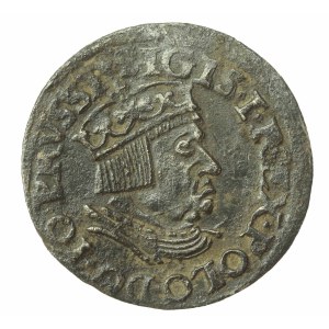 Zygmunt I Stary, trojak 1537, Gdańsk (574)