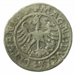 Sigismund I the Old, Half-penny 1522, Vilnius (914)