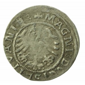 Sigismund I the Old, Half-penny 1521, Vilnius (933)
