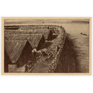 Biskupin - osada bagienna (320)