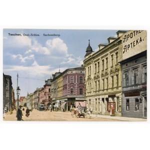 Cieszyn - Saska Kępa (561)