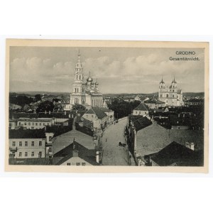 Grodno - Celkový pohled (736)