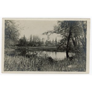 Volyn - Motive (863)
