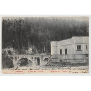 Yaremcze - Entrance to the Tunnel - 1906 (914)