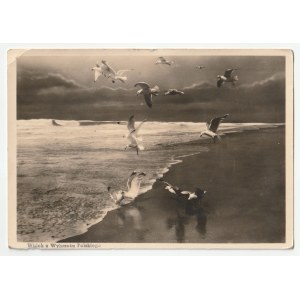 Polish coast - view (d1177)