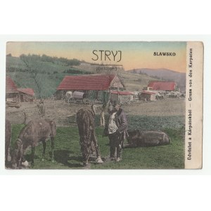 Slawsko - Stryj (Galicia ) - Gruss von den Karpaten (3132)