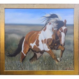 Wasyl Wakuła, Mustang