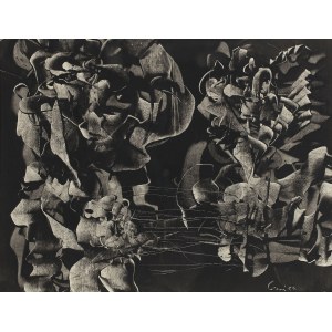 Lenica Alfred (1899 - 1977), de la série Paysages Fantastiques, 1960