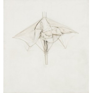 Kantor Tadeusz (1915 - 1990), Paraplui emballage from the Multipart series, 1970