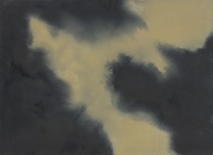 Bujnowski Rafał (né en 1974), Sans titre (ciel négatif), 2005