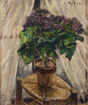 Maria Melania Mutermilch Mela Muter (1876 Warsaw - 1967 Paris), Cyneraria in a pot (
