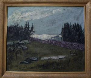 Wojciech Fleck, Krokusy w Tatrach