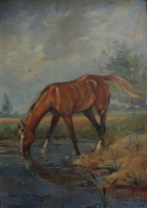 Tadeusz Kokietek, Horse at the watering hole
