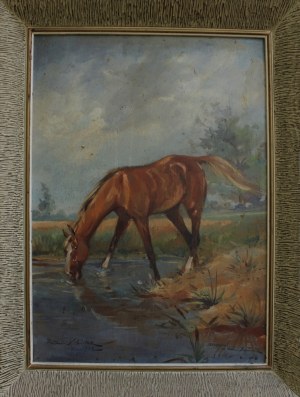 Tadeusz Kokietek, Horse at the watering hole