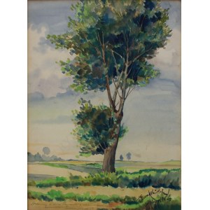Tadeusz Kokietek, Samotne drzewo