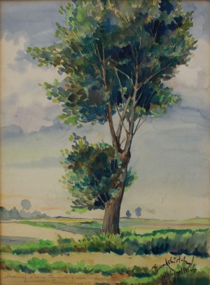 Tadeusz Kokietek, Einsamer Baum