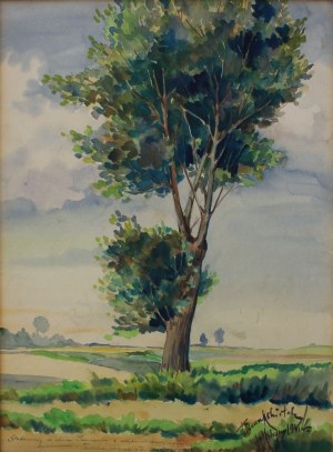 Tadeusz Kokietek, Samotne drzewo