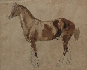 Piotr Michałowski, Studio di un cavallo