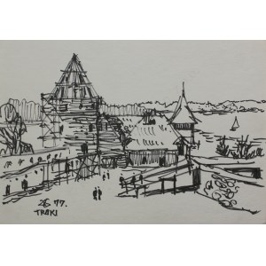 Donald Solo, Alte Burg Trakai