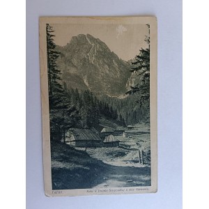 POCZTÓWKA TATRY, HALA W DOLINIE STRĄŻYSKIEJ , GIEWONT, PRZEDWOJENNA 1932 R