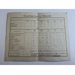 ROSWIN, ROSSWEIN, ŚWIADECTWO SZKOLNE 1928 R