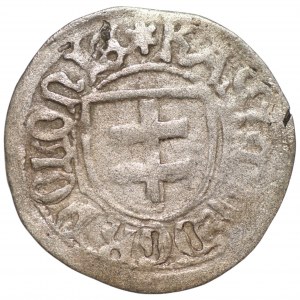 Kasimir IV. Jagiellone (1447-1492) - Toruner Adliger ohne Datum