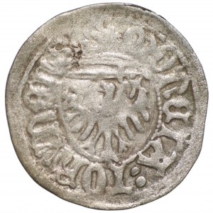 Kasimir IV. Jagiellone (1447-1492) - Toruner Adliger ohne Datum