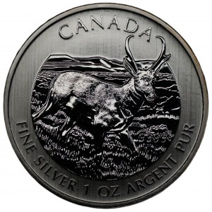 CANADA - $5 2013 - American Forkbeard.